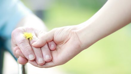 Young and senior hands holding hands with a dandelion